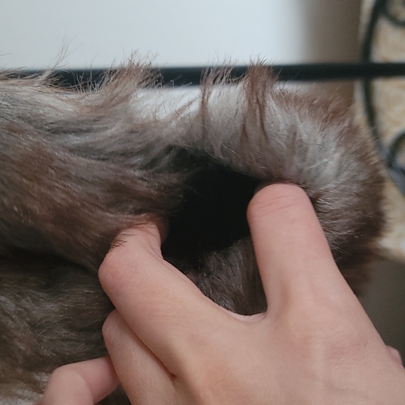 Cozy Zone Colorful Animal Hood Hat - Picture 7 of 12